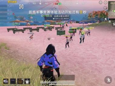 和平精英常见外挂